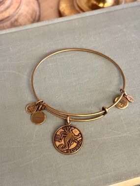 Alex and Ani Scorpio Charm Bangle Bracelet